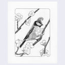 Rakugaki 3 - Jon Ching - #69 - 3