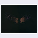 Brian Luong - Travel by Lamplight - “Skeleton Meetup"