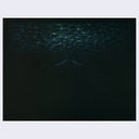 Brian Luong - Travel by Lamplight - “Swim"