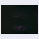 Brian Luong - Travel by Lamplight - “Dogs at Camp"