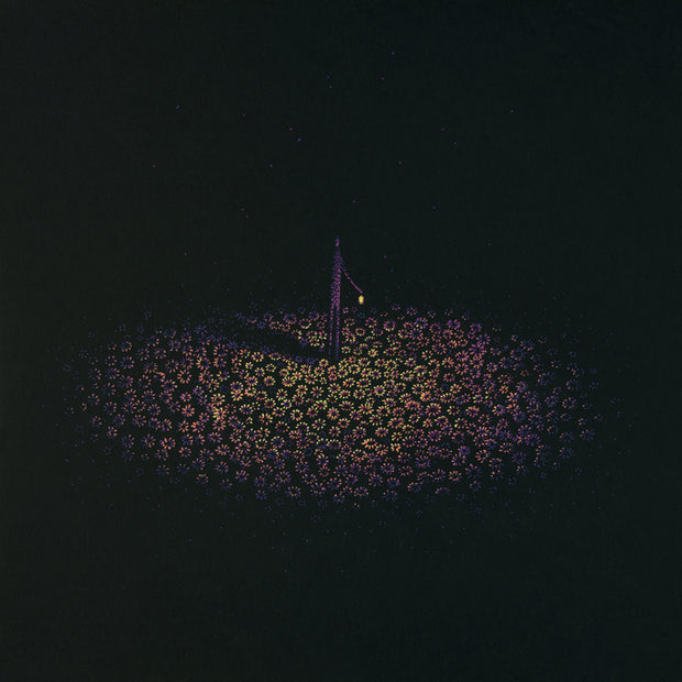Brian Luong - Travel by Lamplight - “Flower Field"