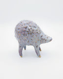 Plants & Flowers Show 2022 - Sun-Mo Koo - "Purple Flowerbed Herdling"