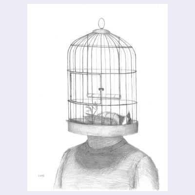 Luke Chueh - More Drawings - "Bird Brained"