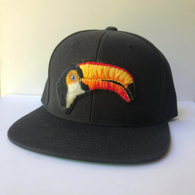 Bird Show - Aaron Brown - "Team Toucan" Cap