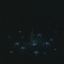 Fruits & Veggies - Brian Luong - "Blossom Gatherer"