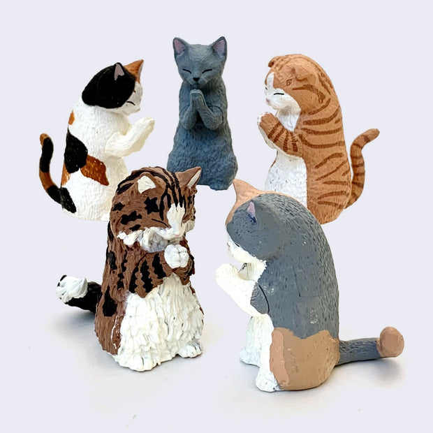 5 Small plastic figurines of cats, all standing on their hind legs and hunched over as if bowing or praying. Cats include: tabby, grey, calico, fluffy striped, or chubby grey and brown.