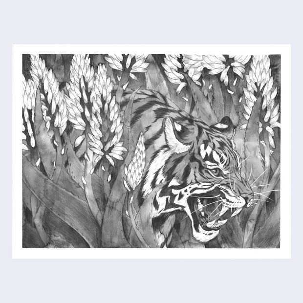 Neko Show 3 (Year of the Tiger) - Alycea Tinoyan - "Camouflage"