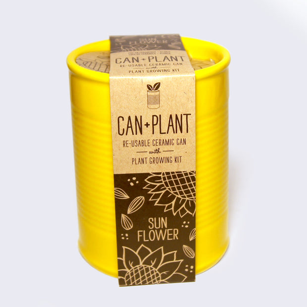 Yellow ceramic can with brown packaging that reads "Can + Plant" Re-usable ceramic can with plant growing kit. Yellow variation is sunflower.