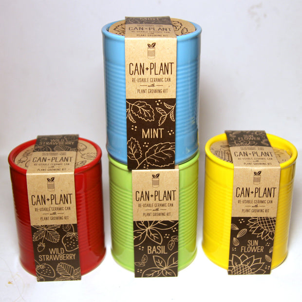 Blue, red, green and yellow ceramic cans with brown packaging that reads "Can + Plant" Re-usable ceramic can with plant growing kit. Red is wild strawberry, blue is mint, green is basil and yellow is sunflower.
