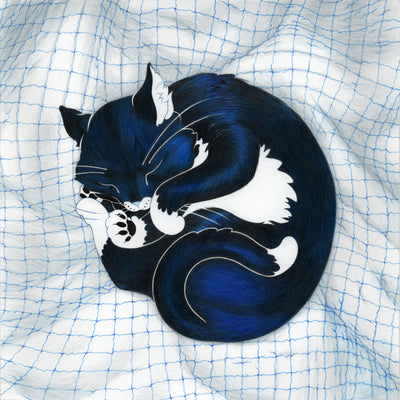 Illustration of a deep blue-black cat with white paws, tail top, stomach and ears, curled into itself with eyes closed. It lays atop a slightly wrinked blue and white checker lined sheet.