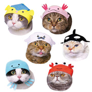 6 cap designs being modeled on different cats. Designs include a pufferfish, an axolotl, a seal, an orca, an octopus, and a crab. 