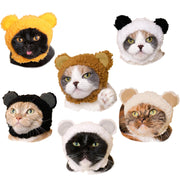 6 different cats wear different bear cap designs, including brown, white, black, yellow, white and tan, and white and black.