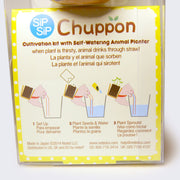 Bottom of Chuppon packaging, displaying with illustrations how to cultivate greenery.