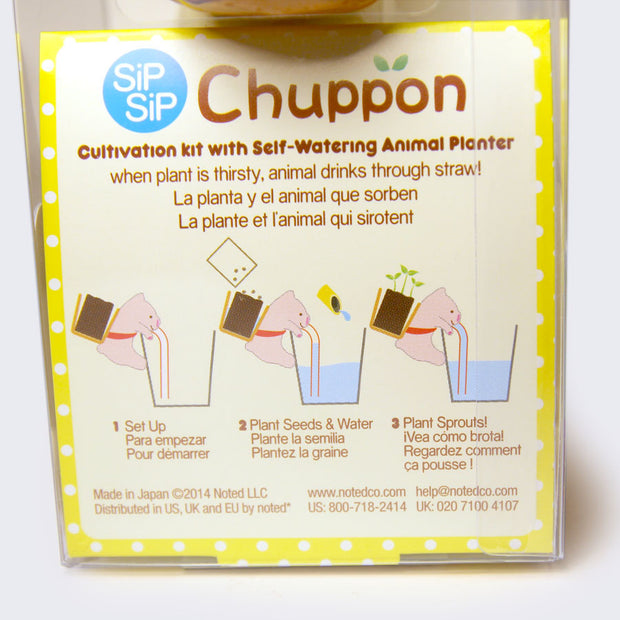 Bottom of Chuppon packaging, displaying with illustrations how to cultivate greenery.
