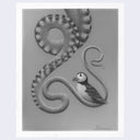 Finely rendered graphite illustration of a puffin, sitting on a winding octopus tentacle.