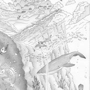 Close up of fine detail pencil illustration of a 3D rectangle holding an ecosytem with whale, mountains and fossils.
