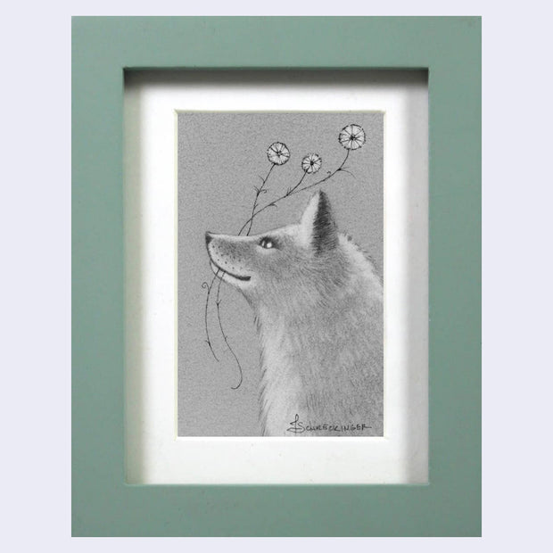 Finely rendered graphite drawing of a fox, seen only from the torso up. It holds 3 small flowers on vines in its mouth. Piece is framed in thick sage green frame.
