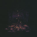 Deep Forest 2 - Brian Luong - "Falling Leaves"