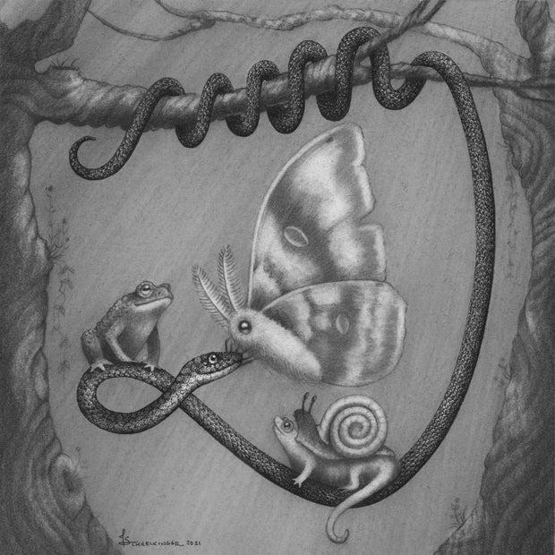 A finely detailed illustration of a snake, wrapped around a tree branch with a frog, lizard, snail and moth atop of it. The snake smiles kindly up to the moth that's rested on its head. Illustration is greyscale and maintains a slightly fuzzy visual feature around the moth.