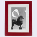 Juliet Schreckinger - "Minky the Moth and Her Poodle"