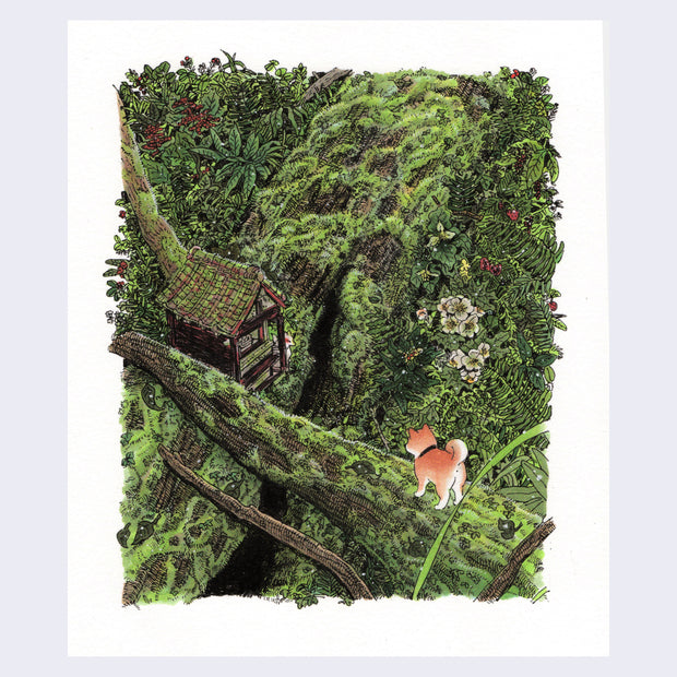 Illustration of a dense, lush forest setting, a close up on intersection of large tree branches and trunks. A Shiba Inu faces away, propped on a moss covered branch, looking down at a small building on among the branches with a small kitsune next to it.