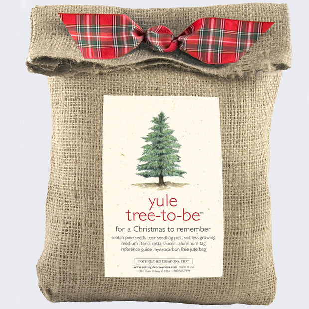 Tree-To-Be (Yule)
