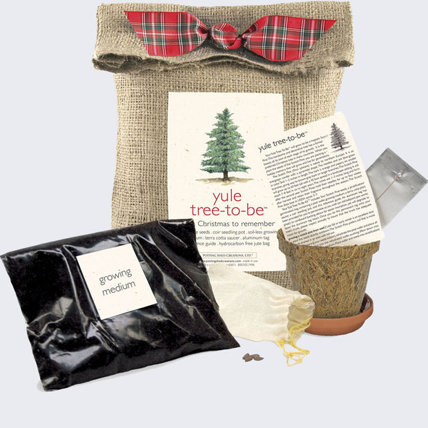 Tree-To-Be (Yule)