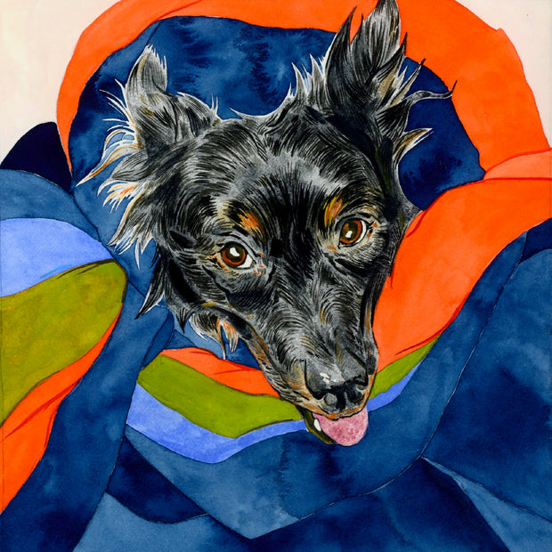 Doggo Show 2022 - Sarah Pinner - "Frank in a Blanket"