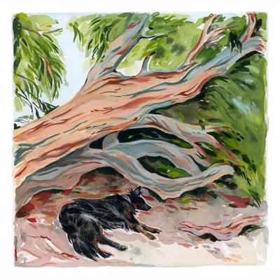 Doggo Show 2 - Sarah Pinner - "Under the Eucalyptus"