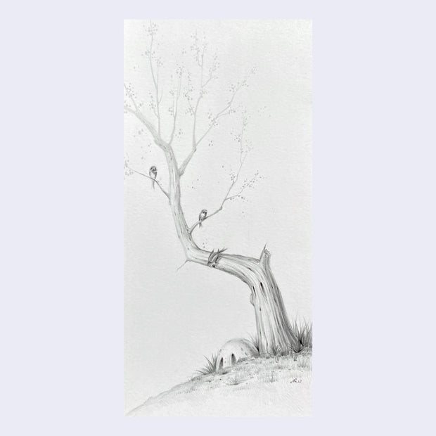 Rakugaki 4 - Nathan Ota - "No. 6"