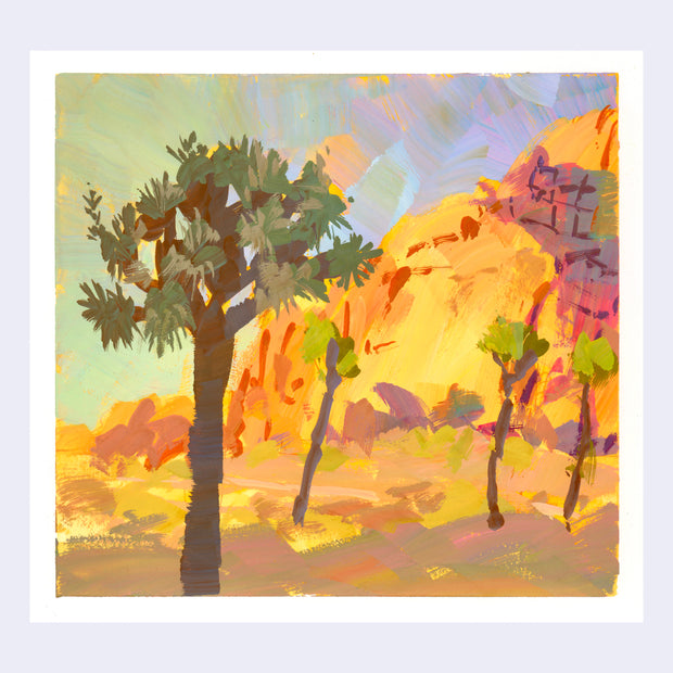 Plein air painting of Joshua trees in a desert landscape, with a bright orange/yellow sunlight illuminating the rocks.