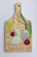 Illustration on wooden cutting board with a paddle handle of a cut up daikon radish, cut into 3 sections with small red radishes nearby. Their latin names accompany the illustrations.