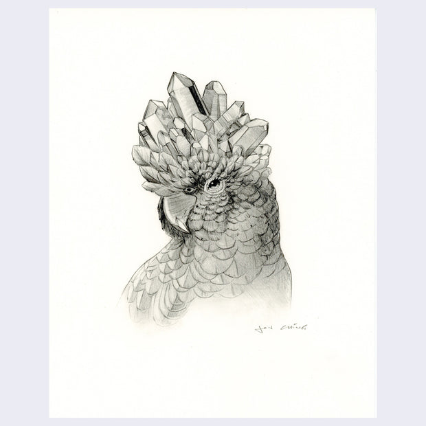Finely rendered sketch of a dark feathered bird with a series of quartz atop its head, jutting out.