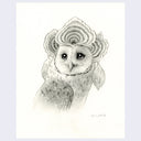 Finely rendered sketch of a barn own with mushrooms crowning its head.