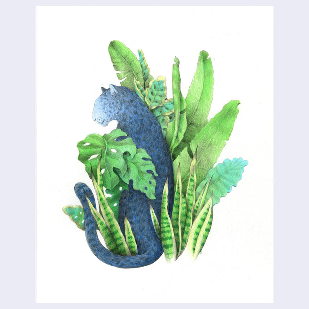 Illustration of a dark blue leopard, sitting amongst various greenery including monstera, snake plant, and palm leaves. The leopard's facial details are minimal and it sits with its back to the viewer, looking off to the side. Background is all white.