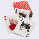 3D Cat Playing Cards