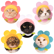 5 cap designs being modeled on different cats. Designs include a bright pink flower, light pink flower, yellow flower, white flower, and blue flower.