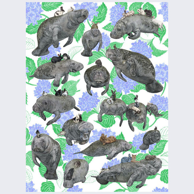 Illustration similar to a pattern design. Various cats and bunnies sit atop manatees. Background is white with blue hydrangeas with green leaves.
