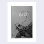 A finely detailed illustration of a semi-cartoonish tortoise, smiling kindly and looking up at two flowers it holds in its mouth. Illustration is greyscale and maintains a slightly fuzzy visual feature around the flowers. Piece is in a white wooden frame.