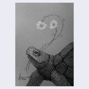 A finely detailed illustration of a semi-cartoonish tortoise, smiling kindly and looking up at two flowers it holds in its mouth. Illustration is greyscale and maintains a slightly fuzzy visual feature around the flowers.