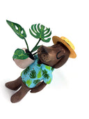 Plants and Flowers Show - Kevin Chan - "Monstera Mutt"