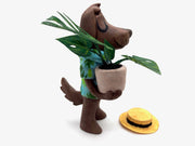 Plants and Flowers Show - Kevin Chan - "Monstera Mutt"