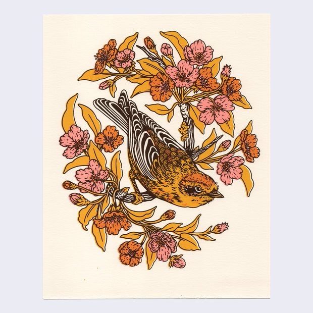 Screenprint on cream paper of a science illustration style Palm Warbler perched on a branch with many yellow leaves and plum blossoms.