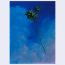 Eternal Ephemera - Leo Frontini - "Nest I"