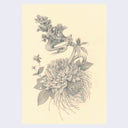 Rakugaki 4 - Ozabu - "Nontitle 1"