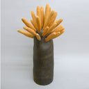 Godeleine de Rosamel - Dark Forest - #72