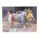 Peter Chan - A Frenchie - #17