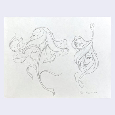 Rakugaki 4 - James Jean - "Prada Flower Sketches"