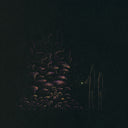 Yellow and purple pointillism style drawing on black paper of two slim figures standing with their backs facing the viewer, one holds a flashlight. The light shines on a large conglomeration of many mushrooms.