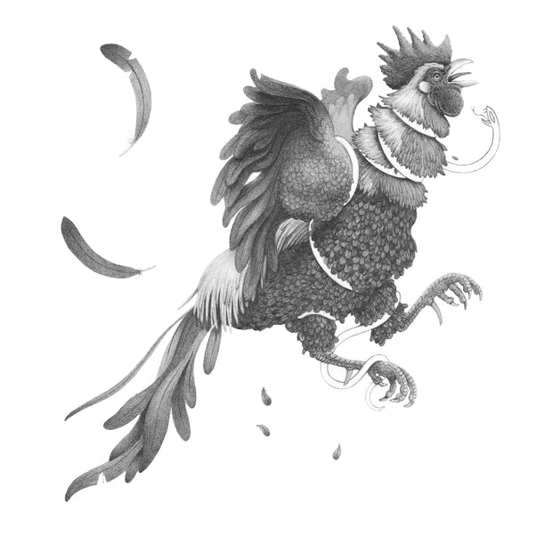 Finely rendered pencil illustration of a jumping rooster, mouth open as it gets squeezed by a small white snake. Feathers fly off the rooster. All white background.